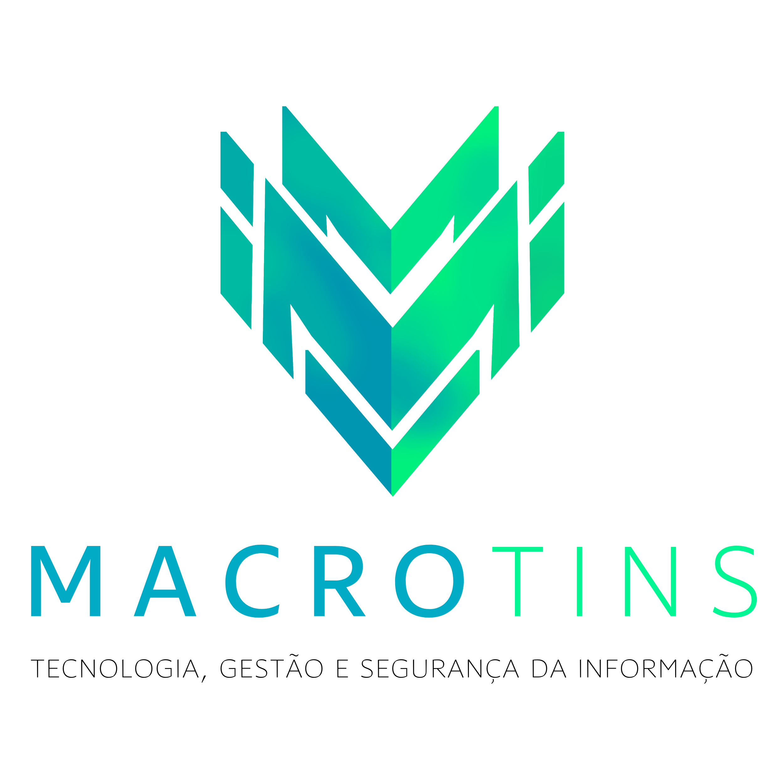 MACROTINS – TECNOLOGIA, GESTAO & SEGURANCA DA INFORMACAO LTDA